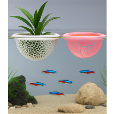 플로팅 피쉬 라운지 어항 열대어 물고기 키우기 쉼터 은신처 놀이터 수초재배