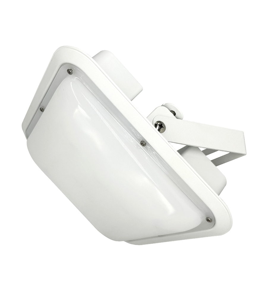 LED 고효율 주유소등 터널등 주차장등 50W 방수형 IP66