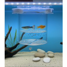 물고기 부화통 분리통 부화통 열대어 수족관 어항 산란 치어 격리 보호 분리